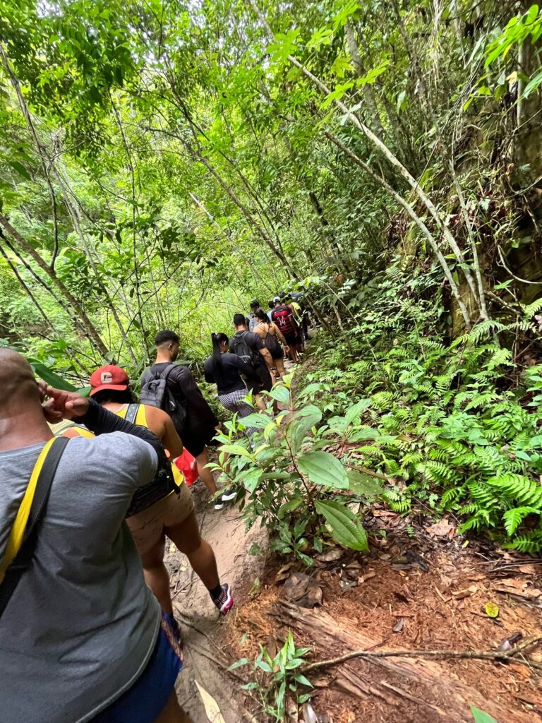 Trilha mata atlântica Cachoeira do Urubu